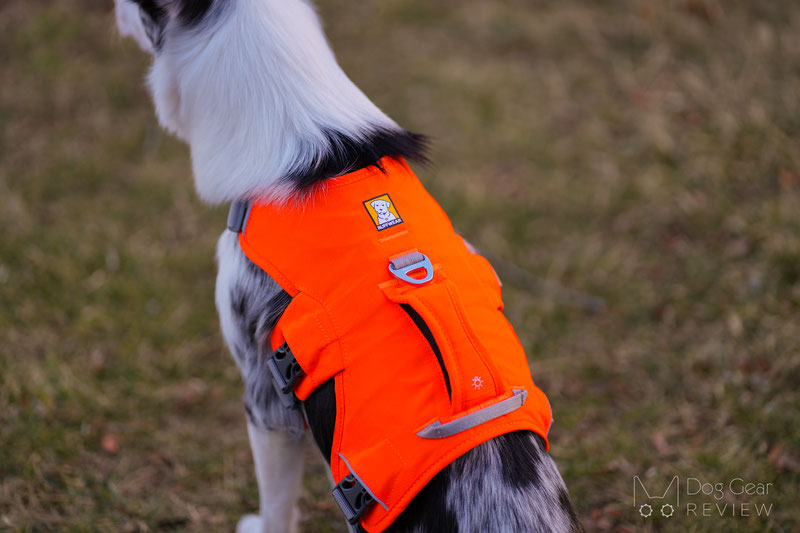 Ruffwear Flagline Harness vs. Web Master Harness Comparison Dog