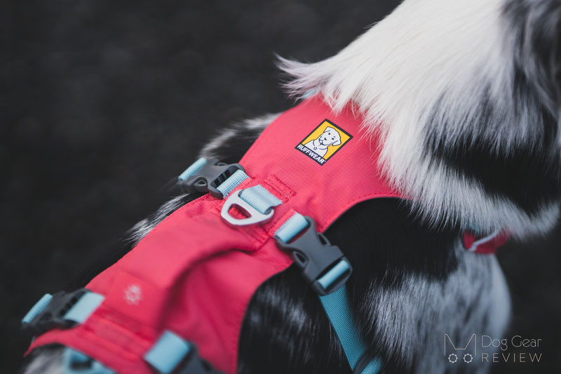 Ruffwear Flagline Harness vs. Web Master Harness Comparison Dog