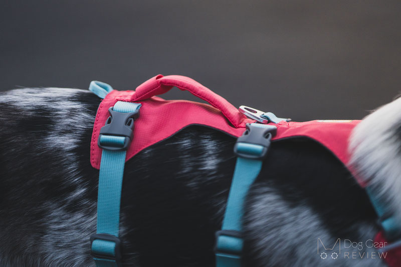 Ruffwear Flagline Harness vs. Web Master Harness Comparison Dog