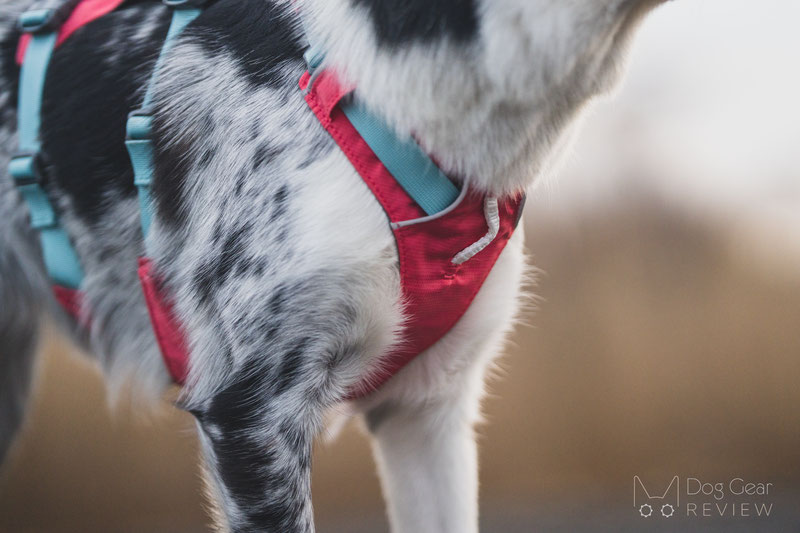 Ruffwear Flagline Harness vs. Web Master Harness Comparison Dog