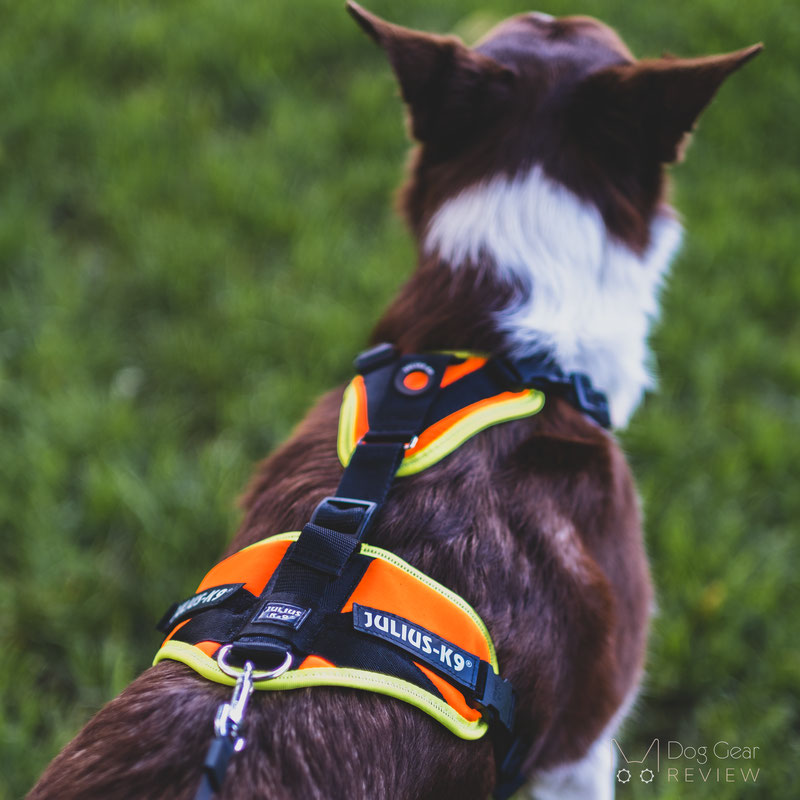 Bunker gear hot sale dog harness