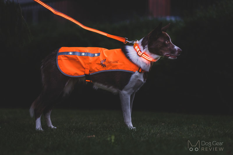 Search and rescue dog hot sale boots