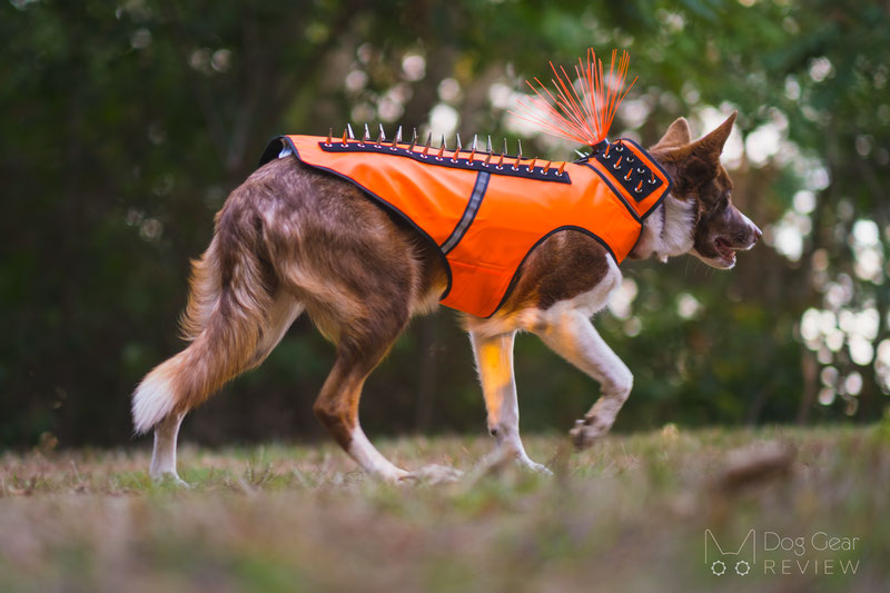  CoyoteVest Dog Harness Protection Vest, Reflective