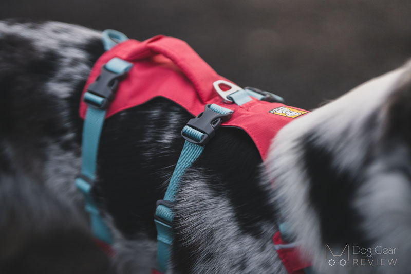 Best dog best sale hiking vest