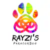 logo of collab_logos/rayzis