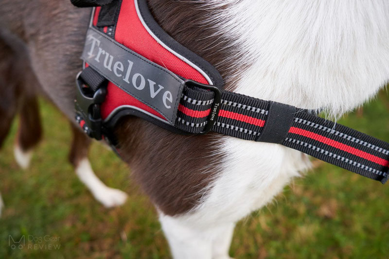 Truelove TLH5753 Harness Review | Dog Gear Review