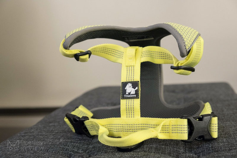 Truelove TLH6071 Harness Review | Dog Gear Review