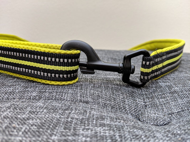 Truelove TLL2111 Leash Review | Dog Gear Review