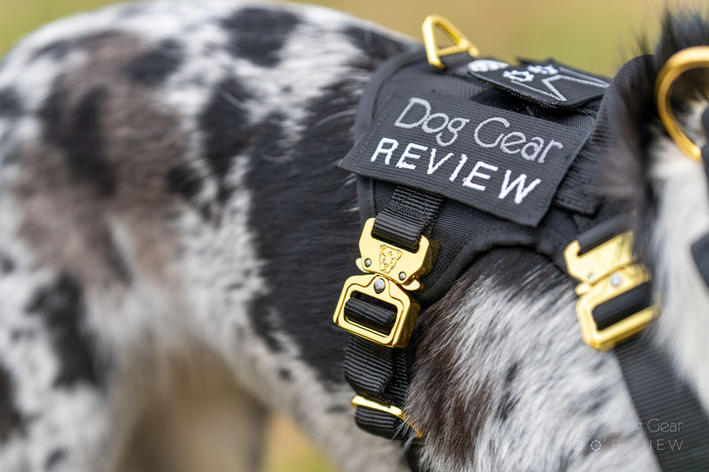 Alpine Dog HNTR 3.0 Harness Review | Dog Gear Review