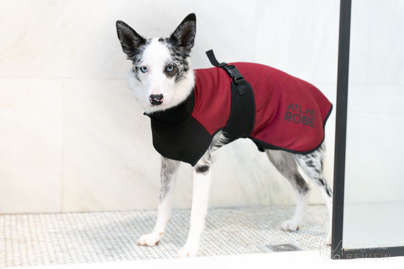 Atlas Outfitters - The Atlas Robe V2 Review | Dog Gear Review