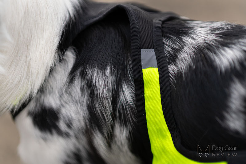 Axaeco Harness X Run Review | Dog Gear Review