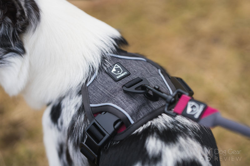 BAUMUTT IN . LINE Non-Pull Dog Harness & LAXO Leash Review | Dog Gear Review