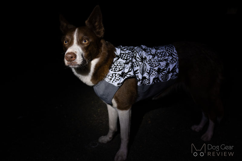 Beana Aurora Reflective Jacket Review | Dog Gear Review