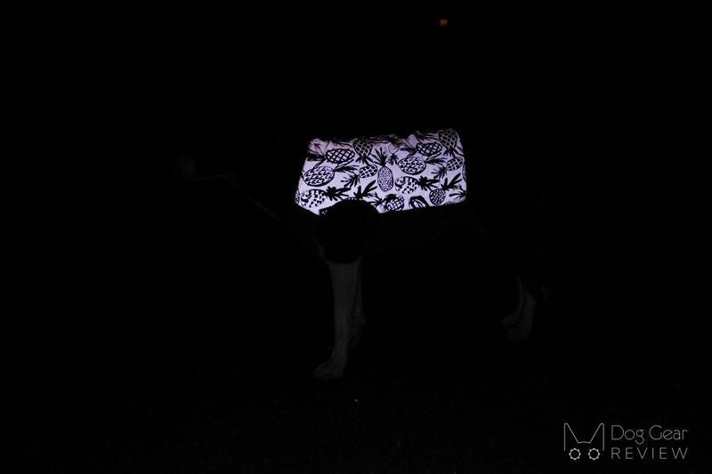 Beana Aurora Reflective Jacket Review | Dog Gear Review