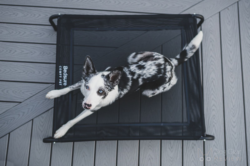 Bedsure Elevated Dog Cot Bed Review | Dog Gear Review