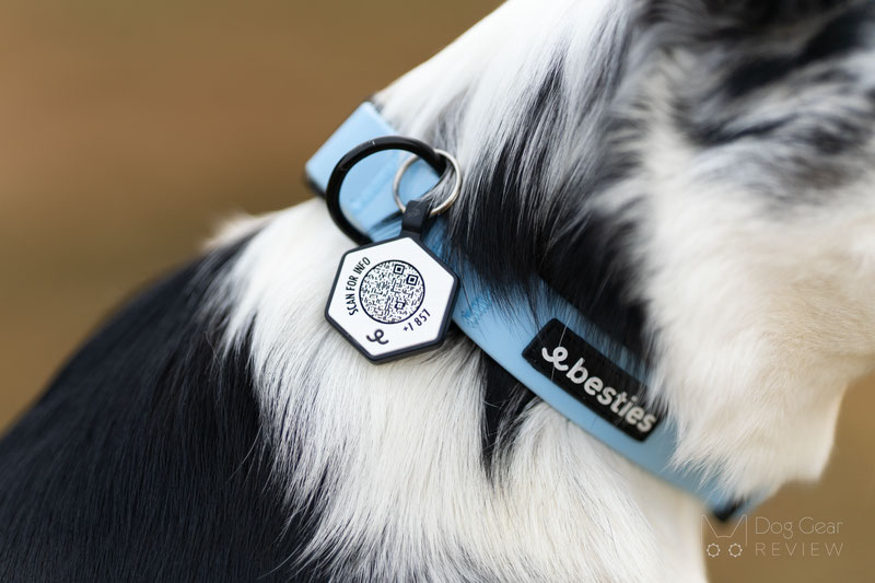 Besties QR Code Pet ID Tag and Collar Review | Dog Gear Review