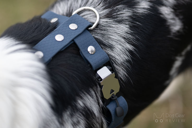  Blackk Wolf Custom Hexa Harness Review | Dog Gear Review