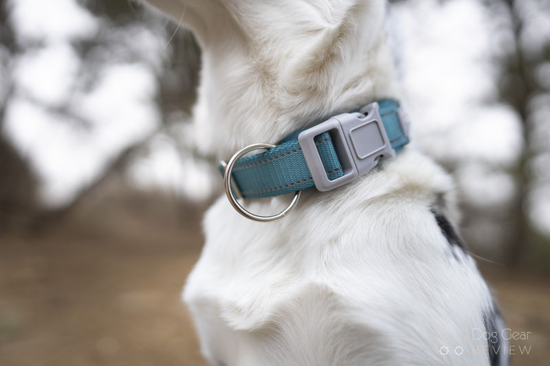Blazin Reflective O-So-Comfy Collar Review | Dog Gear Review