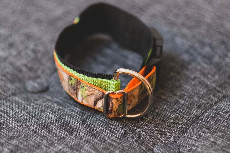 Bloom DOG Design Collars Review | Dog Gear Review