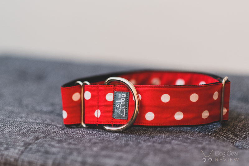 Bloom DOG Design Collars Review | Dog Gear Review
