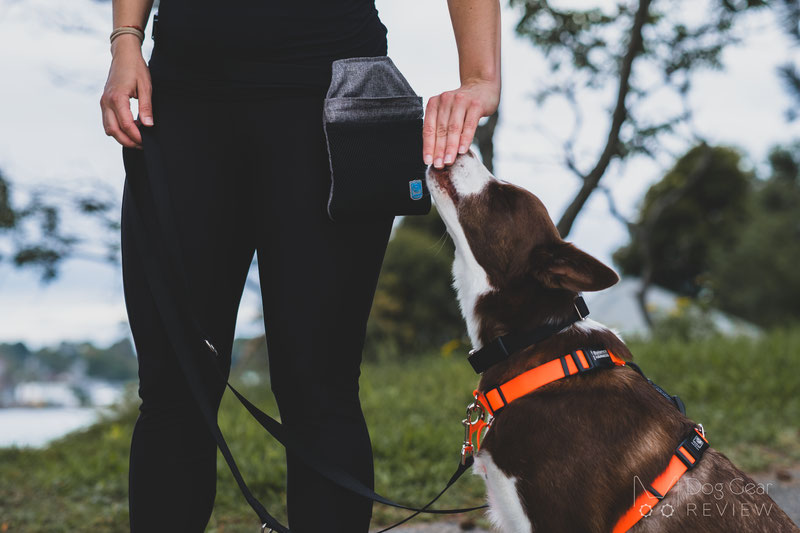 K9 hotsell balance harness