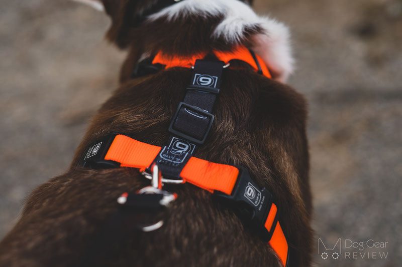 Blue-9 Pet Products Balance Harness Review | Dog Gear Review