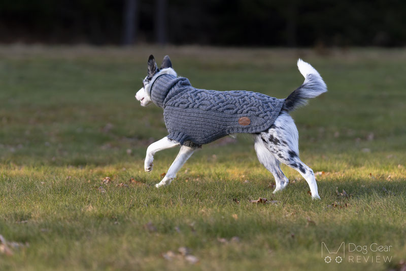 Bravehound Wool Sweater Review | Dog Gear Review