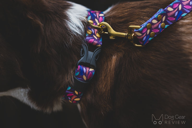 Bubark Collars Review | Dog Gear Review