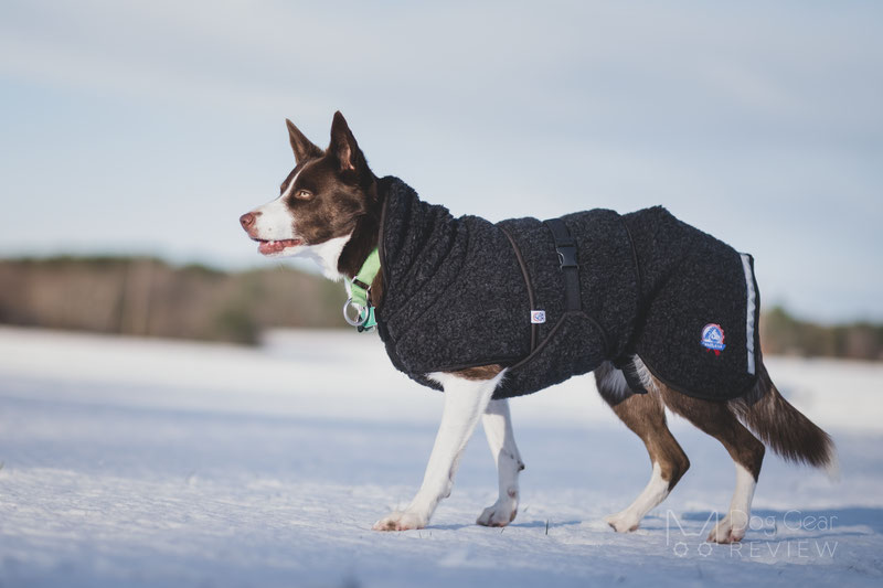 Canelana Ambassador Wool Coat Review | Dog Gear Review