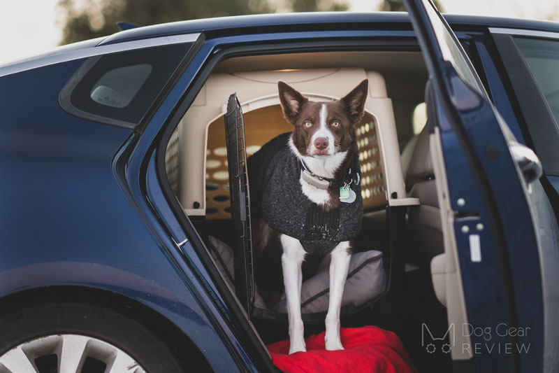 Canelana Ambassador Wool Coat Review | Dog Gear Review