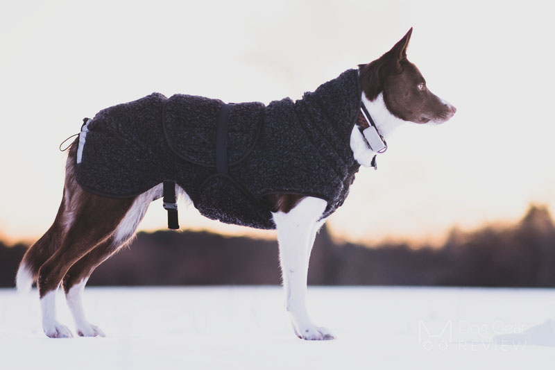 Canelana Ambassador Wool Coat Review | Dog Gear Review