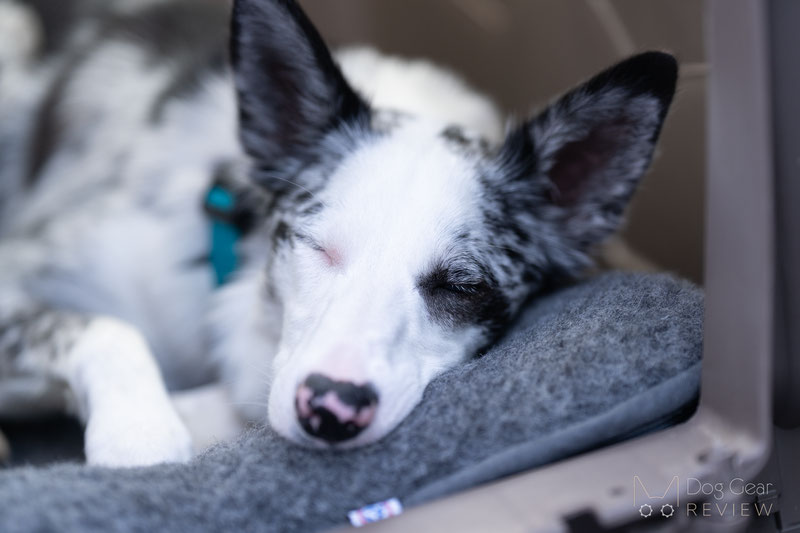 Canelana Dog Crate Wool Mattress Review | Dog Gear Review