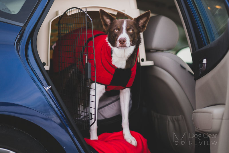 Canelana Lana Wool Coat Review | Dog Gear Review