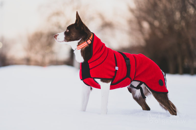 Tory Burch Puffer Dog Coat chases away winter chill 