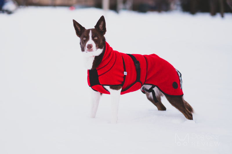 Canelana Lana Wool Coat Review | Dog Gear Review