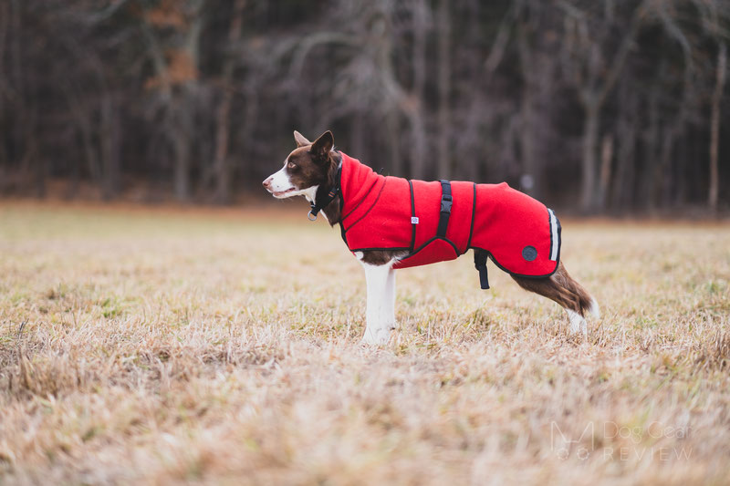 Canelana Lana Wool Coat Review | Dog Gear Review