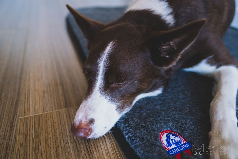 Canelana Wool Mattress with Waterproof Underside Review | Dog Gear Review