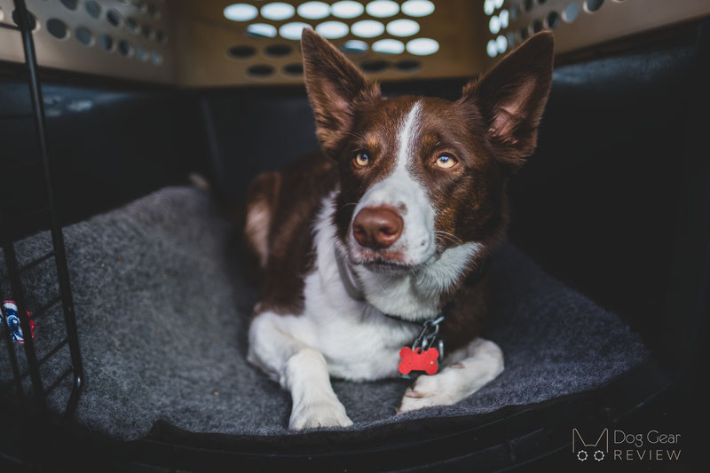 Canelana Wool Mattress with Waterproof Underside Review | Dog Gear Review