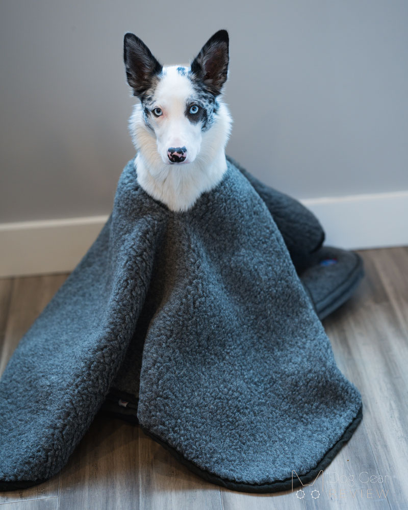 Canelana Wool Poncho Review | Dog Gear Review