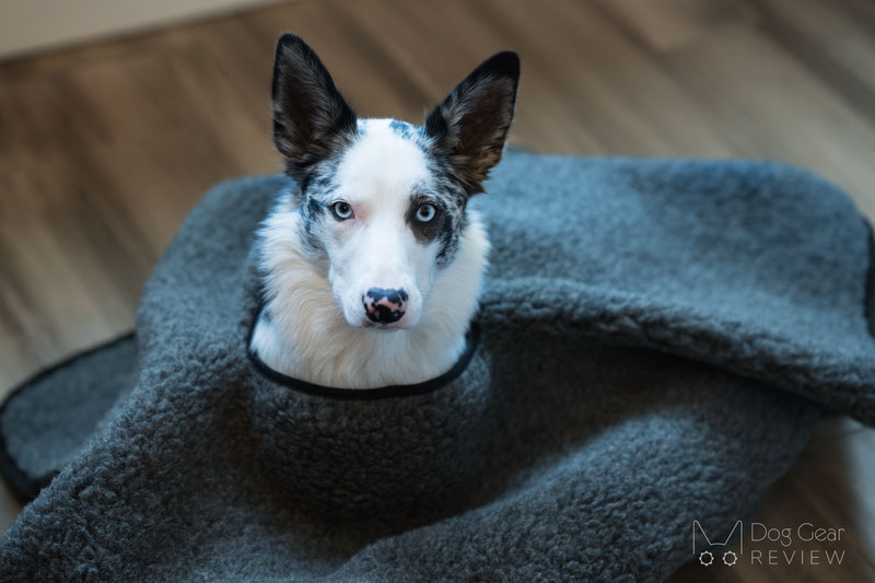 Canelana Wool Poncho Review | Dog Gear Review