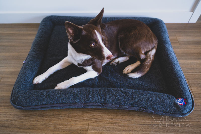 Canelana Wool Bed with Raised Edges Review | Dog Gear Review