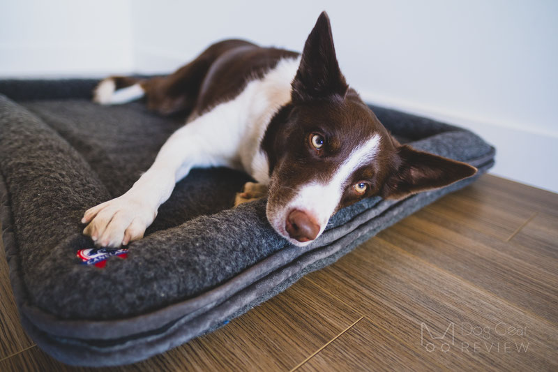 Canelana Wool Bed with Raised Edges Review | Dog Gear Review