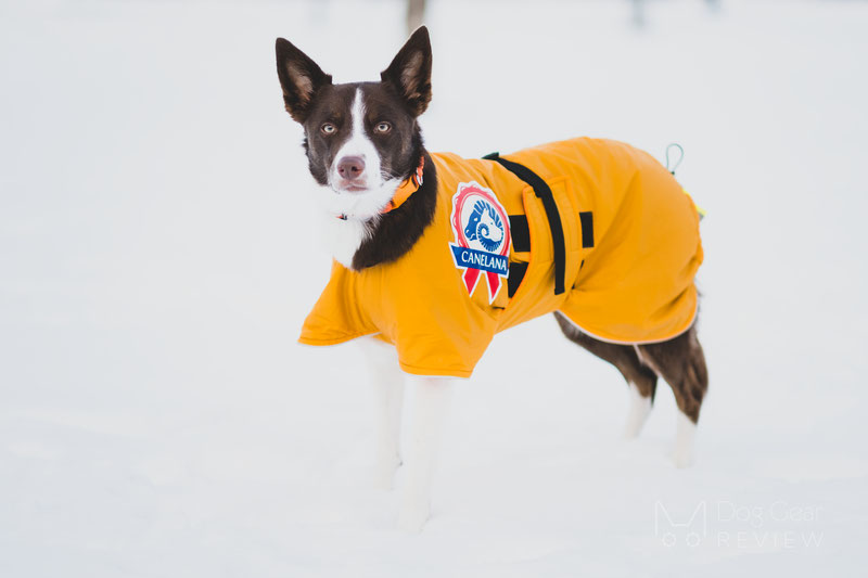 Canelana Sporting Coat Review | Dog Gear Review