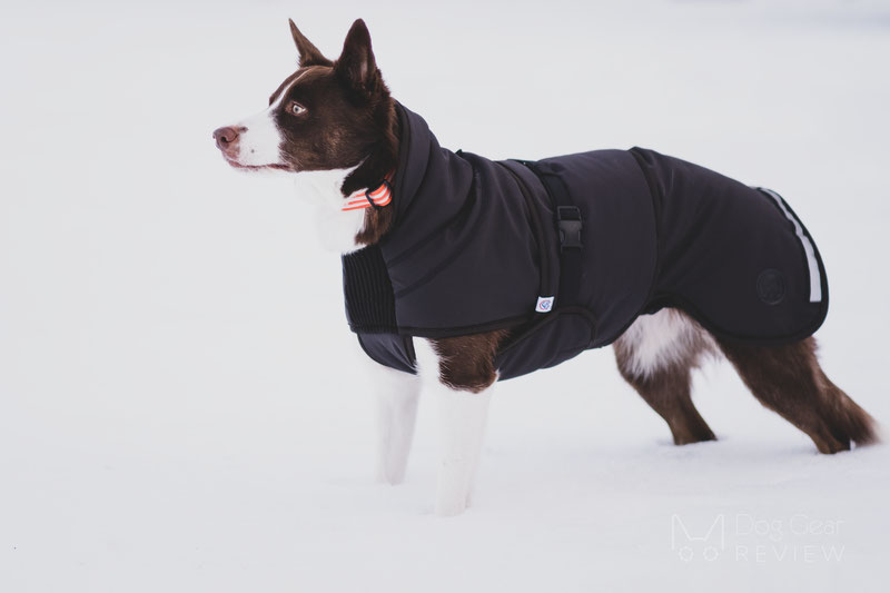 Canelana Thermo Coat Review | Dog Gear Review