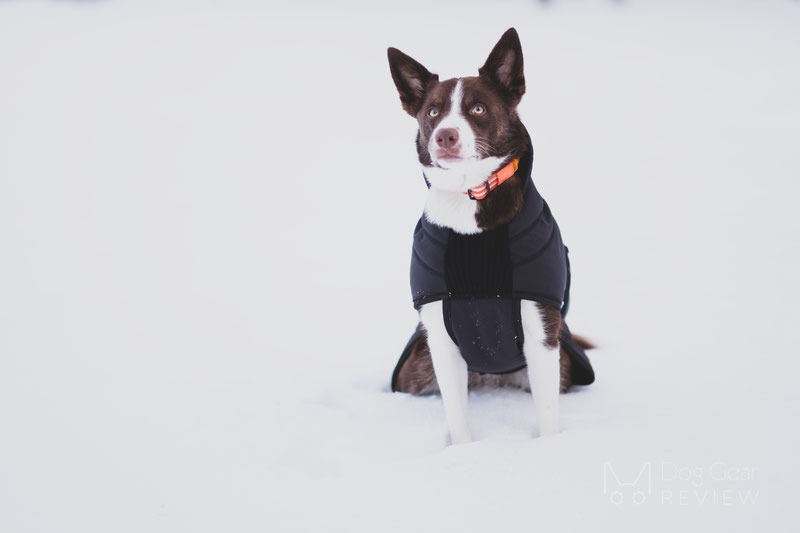 Canelana Thermo Coat Review | Dog Gear Review