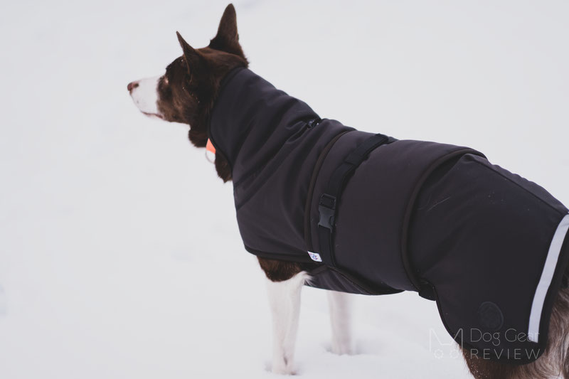 Canelana Thermo Coat Review | Dog Gear Review