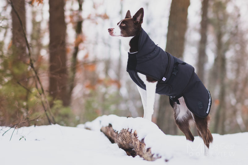 At understrege Brandmand folder Canelana Thermo Coat Review | Dog Gear Review