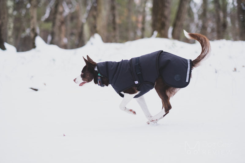 Canelana Thermo Coat Review | Dog Gear Review