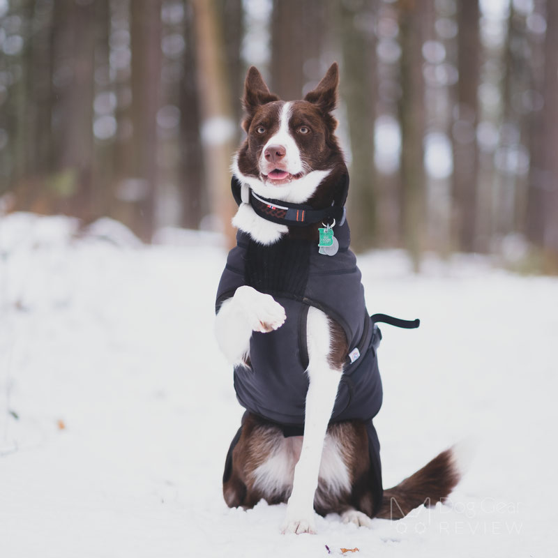 Canelana Thermo Coat Review | Dog Gear Review