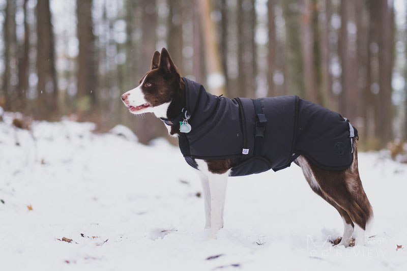 Canelana Thermo Coat Review | Dog Gear Review